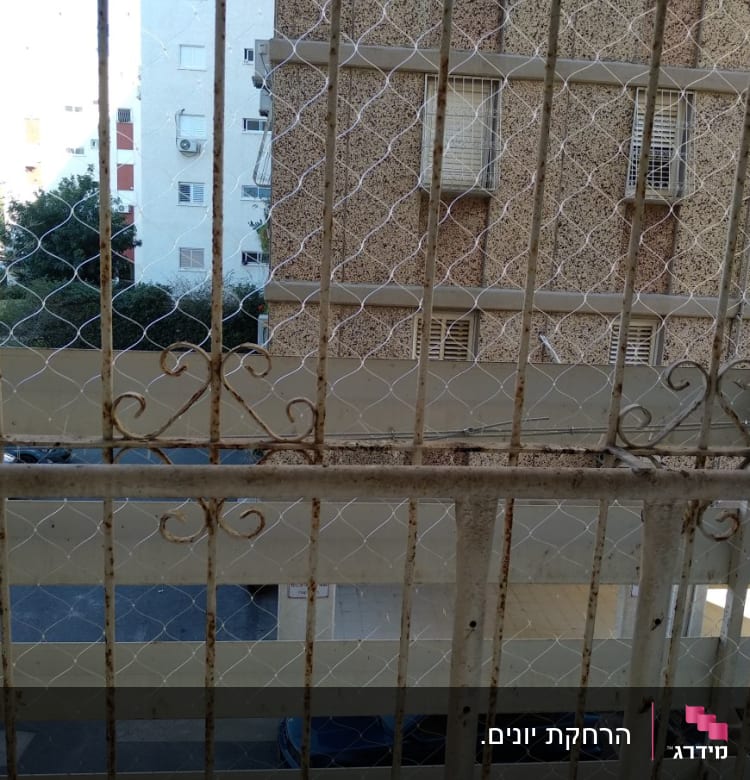 רשת מתכת על חלון למניעת כניסת יונים